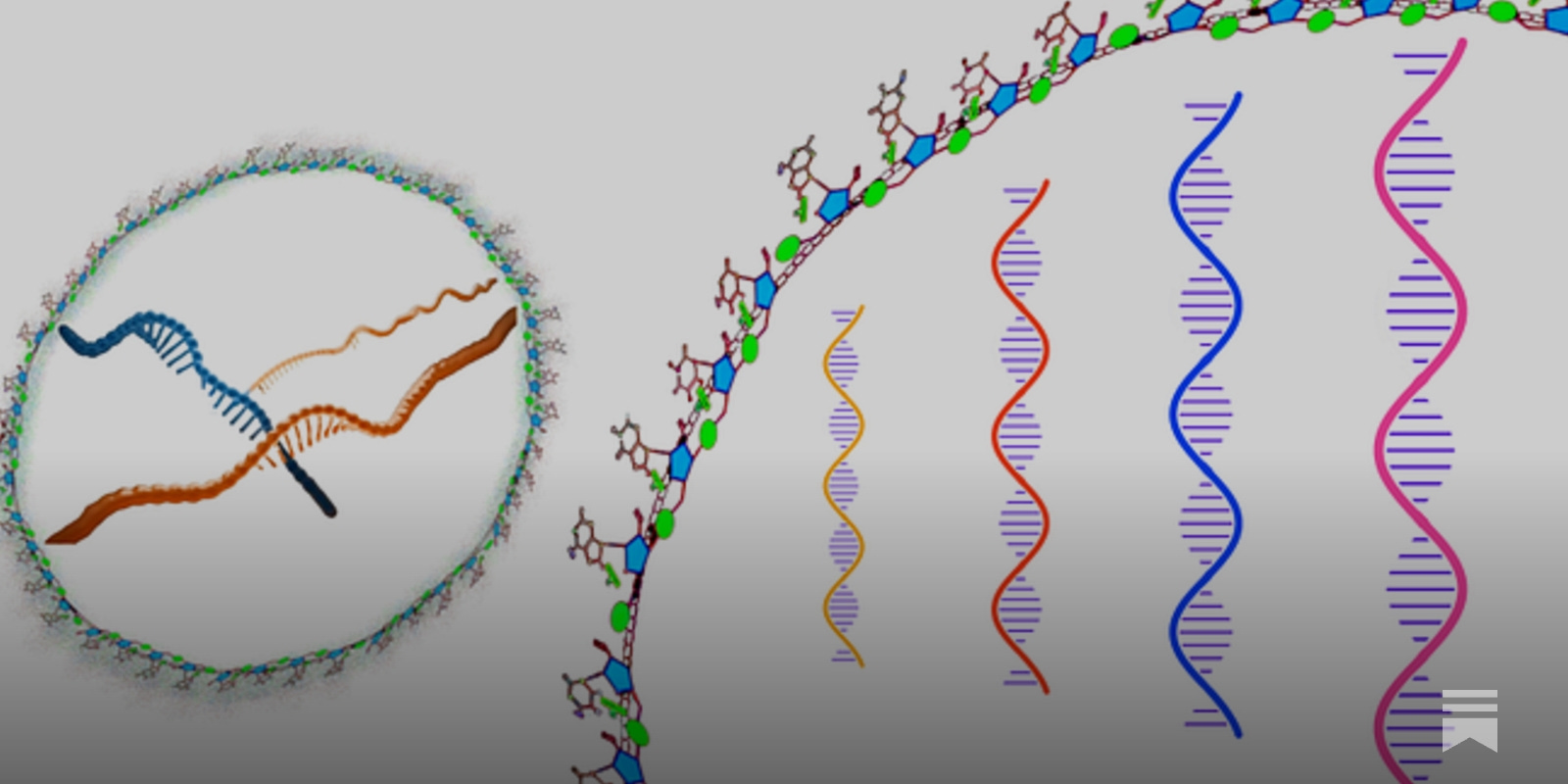 BioTechRvs's tweet card. Harnessing RNA Versatility for Therapeutic, Diagnostic, and Biotechnological Innovation