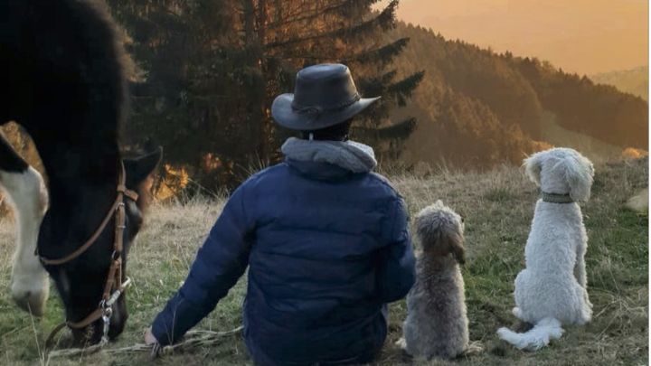 domjost's tweet card. Erlittenen Schmerz gegen Erfahrung eintauschen, um damit andere Betroffen… Aldo Cavegn needs your support for Recovery Ranch für psychisch kranke Mitmenschen