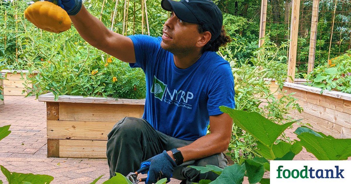 NYRP's tweet card. Nonprofit land conservancy, founded by Bette Midler, provides urban agriculture education for NYC residents.