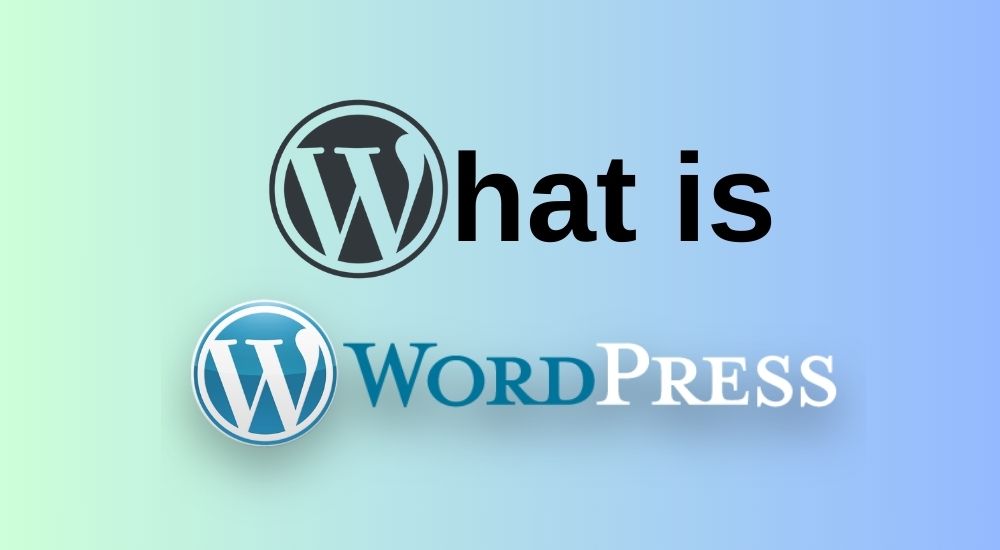 AlgorithmMan's tweet card. None of your questions about WP will remain unanswered! What is WordPress? Build a Website, Sell, Start a Blog & More. Learn everything about WP in 2025