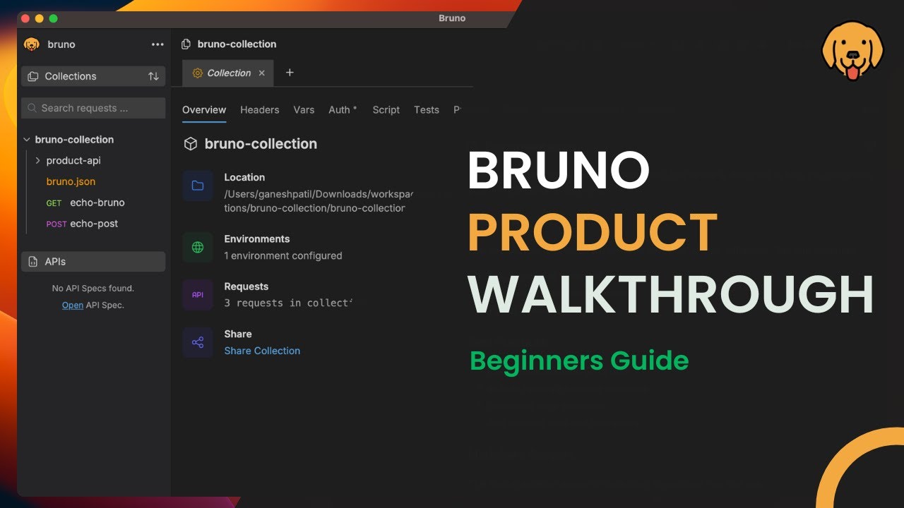 devgancode's tweet card. Bruno API Client Full Walkthrough 🚀 | Complete Beginner's Guide to...