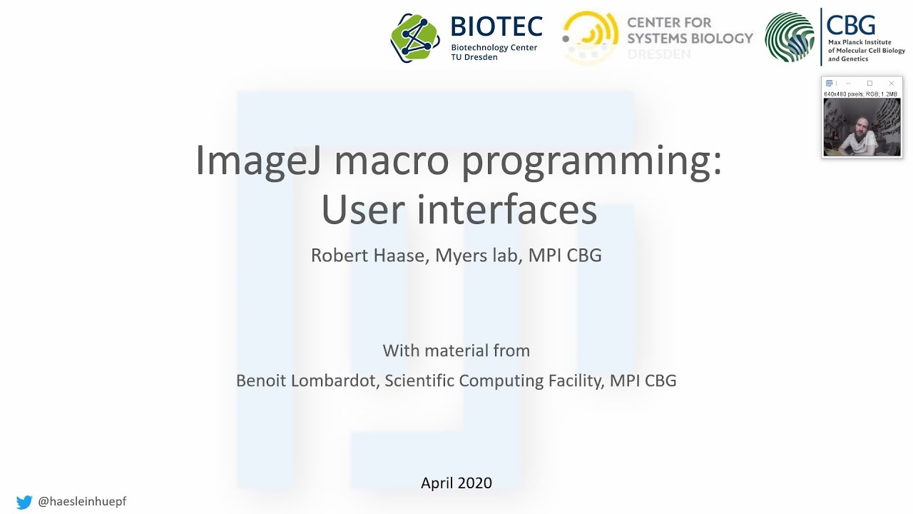 haesleinhuepf's tweet card. 04c ImageJ macro programming: User Interfaces