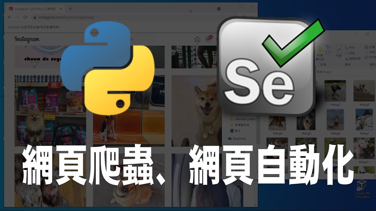 CathalinaPlus's tweet card. 【python】selenium 網頁自動化、網路爬蟲 ｜ 爬蟲 ｜ python 爬蟲 ｜ 自動化 ｜pycharm ｜ #爬蟲...