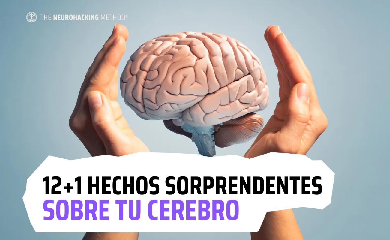 BiancoRudy's tweet card. Seguro que lo escuchaste muchas veces "Rewire your brain". Este es uno de los legados más perdurables de la vieja metáfora de "los cerebros son circuitos eléctricos"