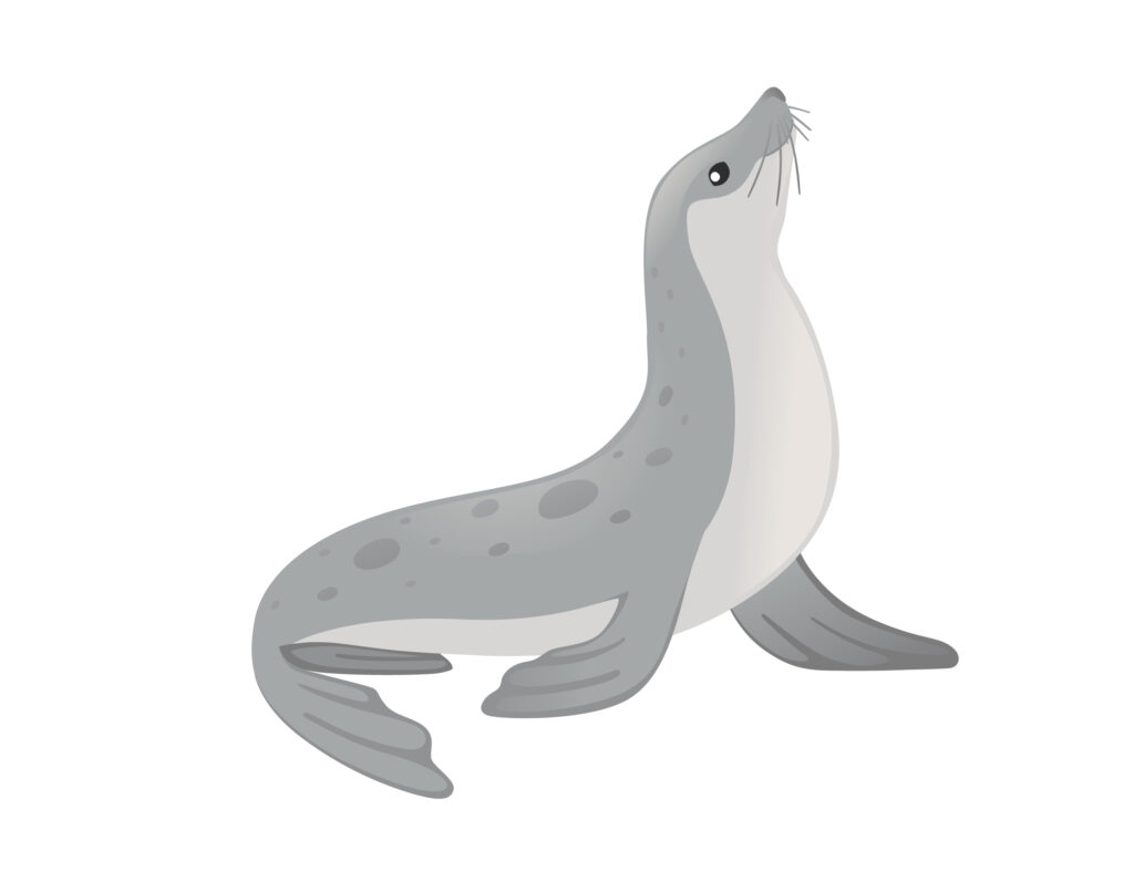 WebScaleDBA's tweet card. MariaDB User Activity Logging helps strengthen database security by enabling detailed transaction auditing, improving compliance, and tracking user behavior effectively.