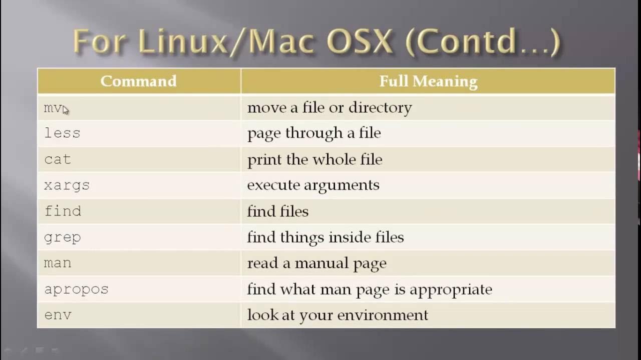 codeitguys's tweet card. The Command Line Mini Course Part 1