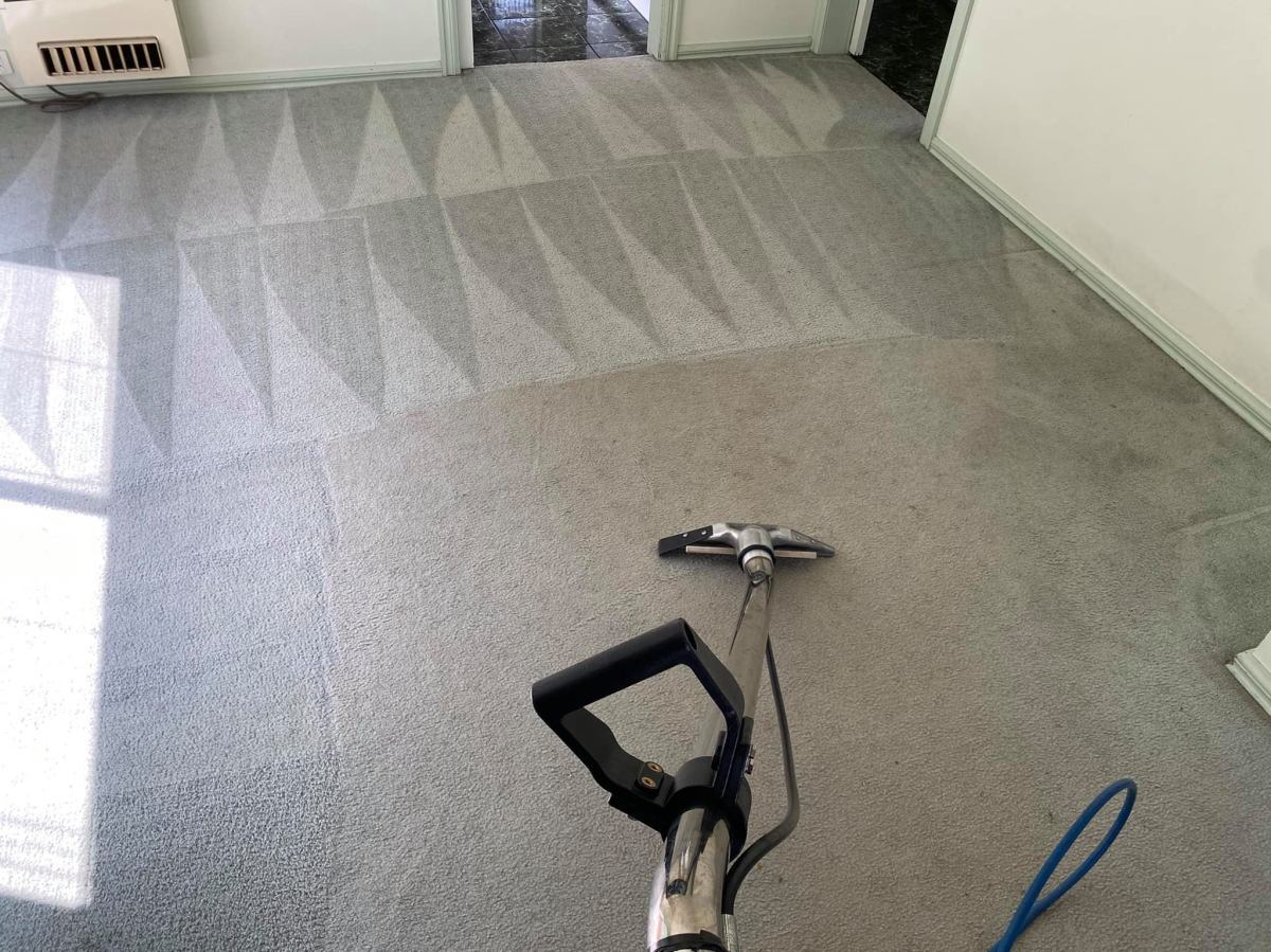 commit_2clean's tweet card. 💬 0  🔁 0  ❤️ 0 · A healthy home starts with clean carpets | Commit2clean Melbourne · A healthy home starts with clean carpets | Commit2clean Melbourne Eliminate Dust, Dirt & Bacteria with Commit2C…