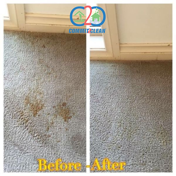 commit_2clean's tweet card. 💬 0  🔁 0  ❤️ 0 · Carpet Cleaning Services in Tarneit · Carpet Cleaning Services in Tarneit Carpet Cleaning Tarneit Commit2clean provide Carpet Cleaning Tarneit. Our carpet cleaning service is ava…