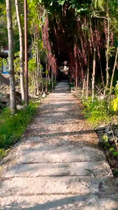 SwiftXcode's tweet card. Nadi, Pahad aur Sukoon 🌿 ♥️ | Nature Vibes #shorts #mountains...