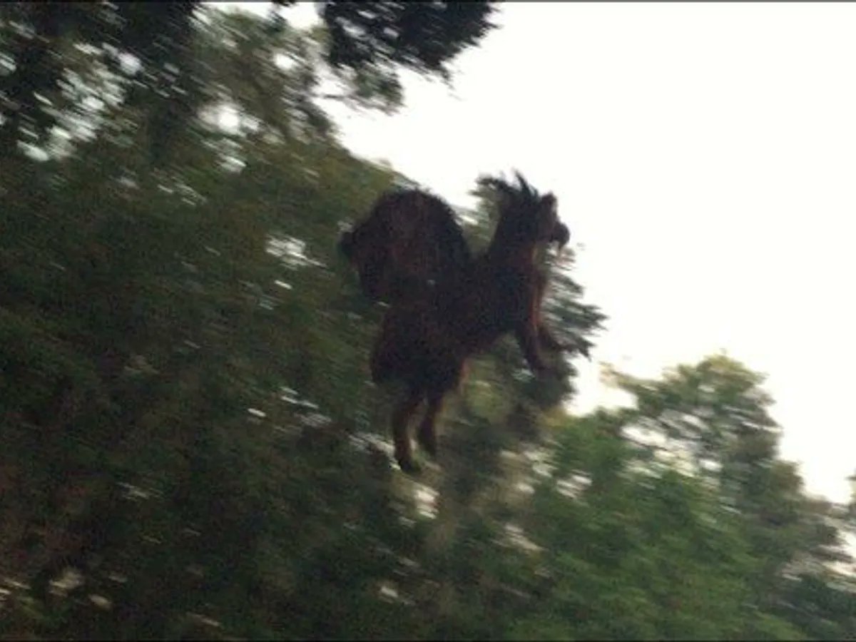 ExplorersWeb's tweet card. The Jersey Devil is described as a grotesque creature reminiscent of a science experiment gone wrong. But is there any truth to the myth?
