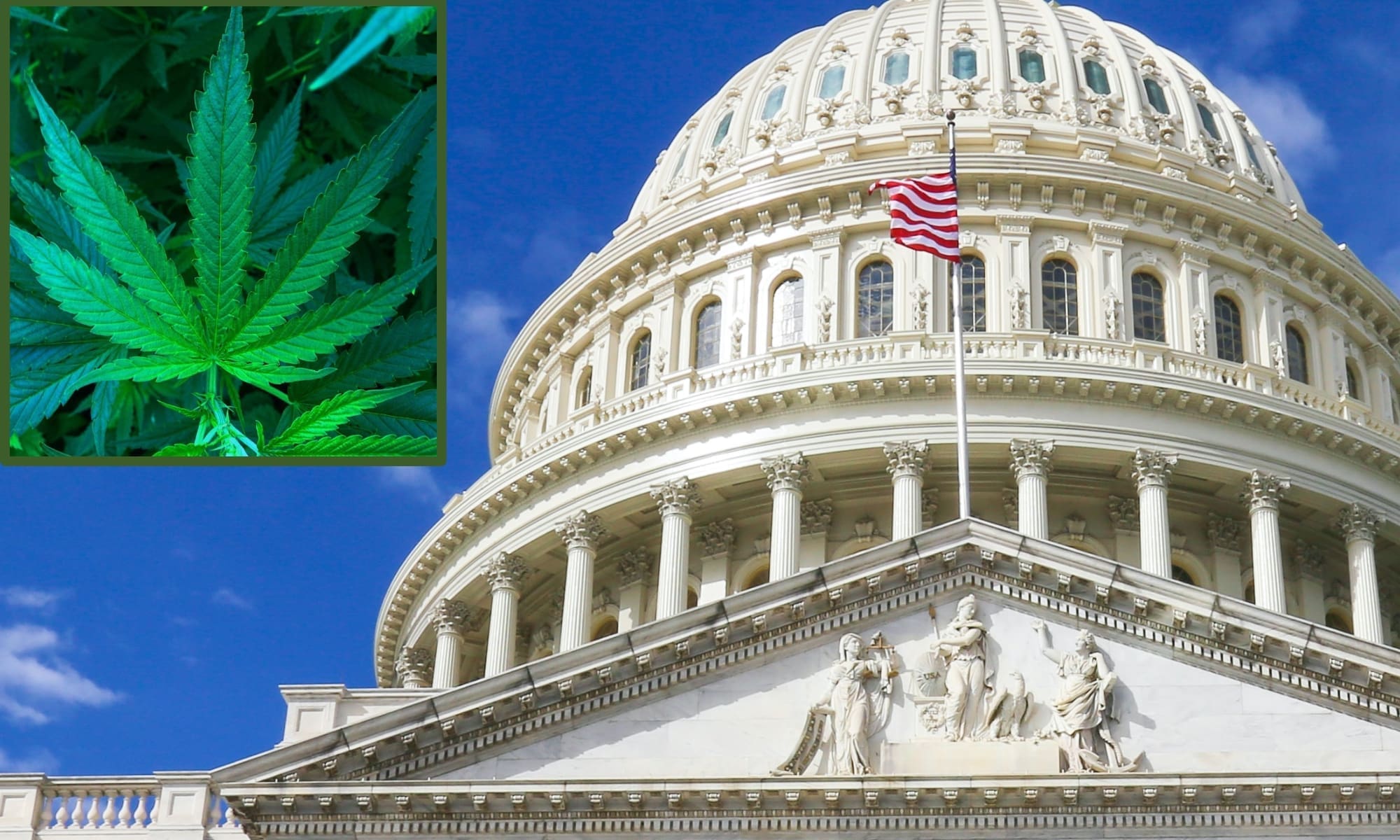 MarijuanaMoment's tweet card. The last three months have seen a surge in congressional lobbying from major alcohol companies and associations aiming to influence federal hemp laws, with a focus on THC beverages that many consum...