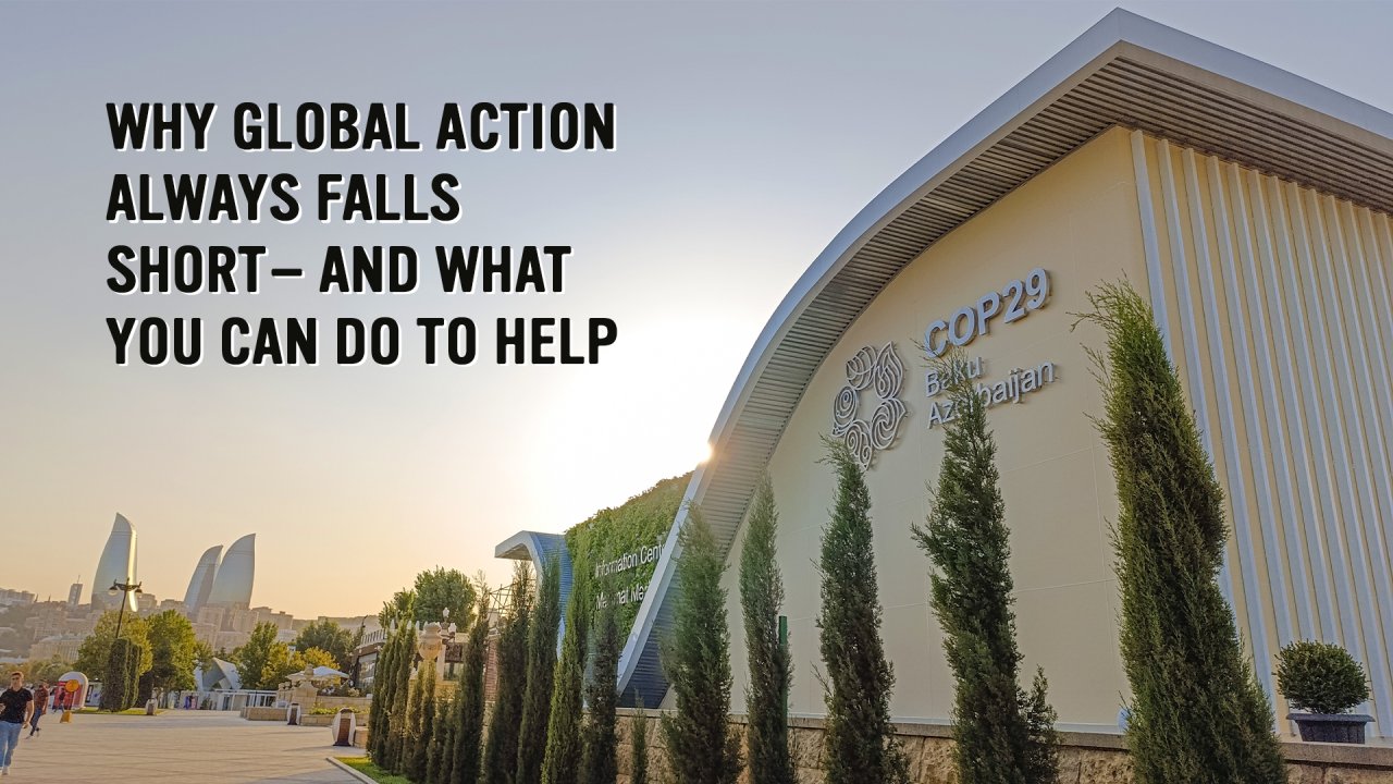 jjustcommit's tweet card. Negotiations at COP29 in Baku, Azerbaijan, ended this weekend. The final proposal asks wealthy nations to provide $300 billion a year to help poorer nations make the energy transition and adapt to...