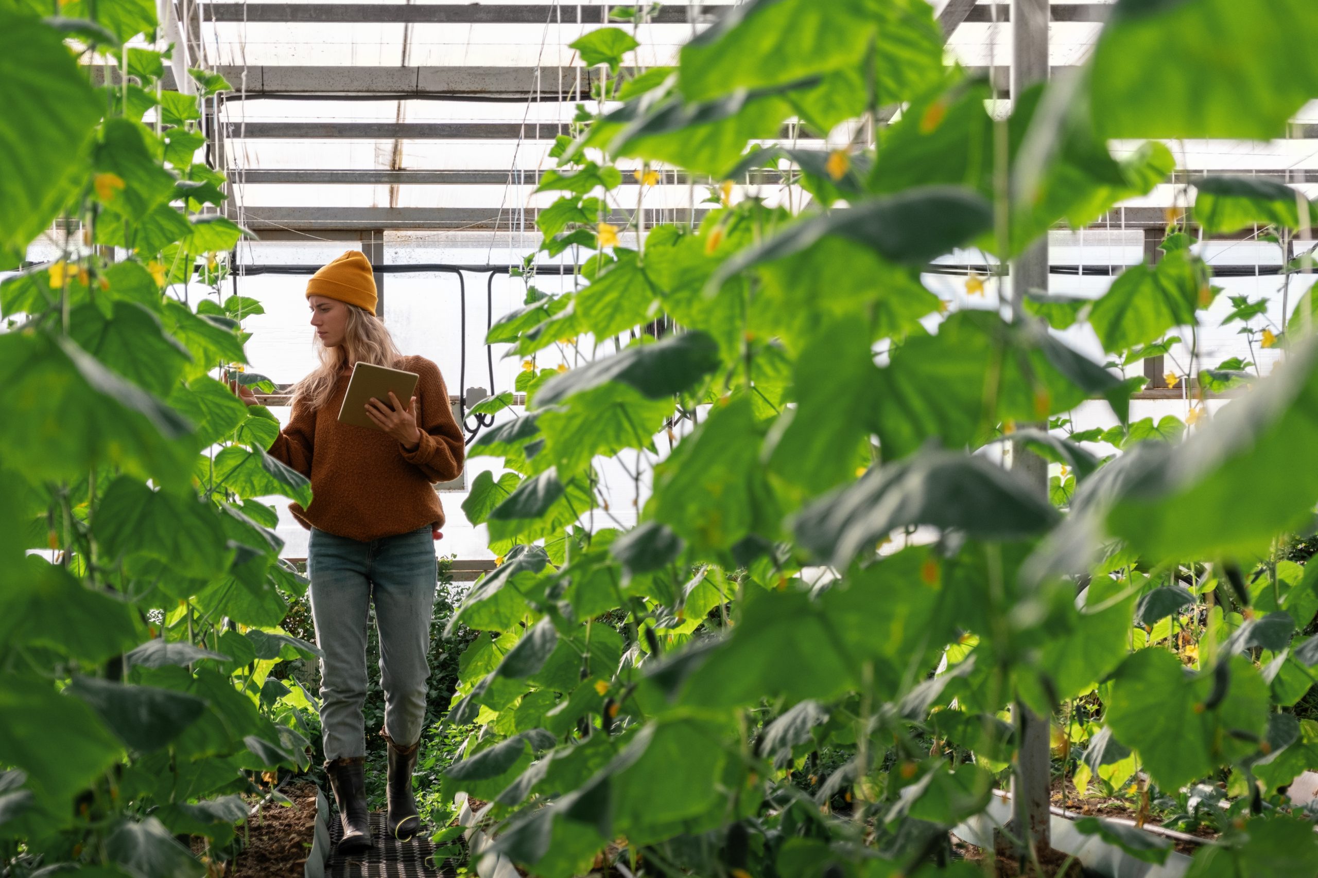 svnoles's tweet card. Ag Ventures A transformative program designed to educate and empower Victoria’s early-stage investors in the dynamic AgTech sector. Program overview Ag Ventures is designed to equip Victorian...