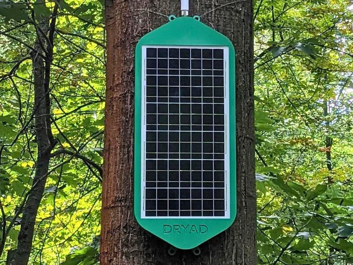 BlogRexel's tweet card. Les feux de forêt sont devenus à la fois plus intenses et plus fréquents à cause du réchauffement climatique. La situation est plus que jamais propice à