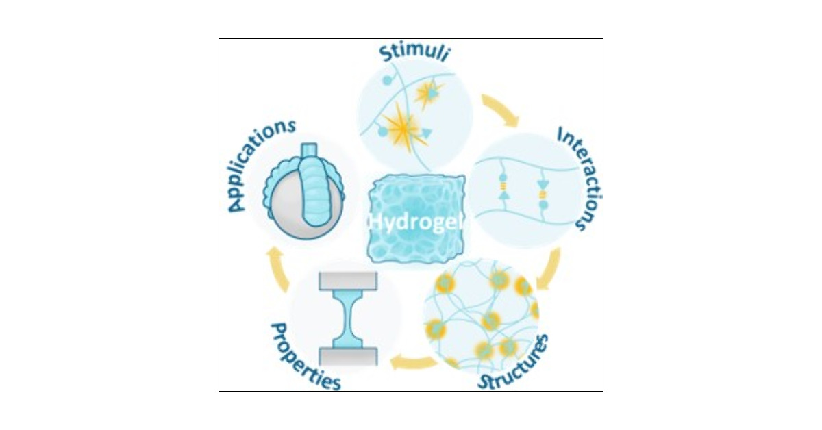 ExtractExplorer's tweet card. The rapid expansion of hydrogel research over recent decades has bridged fundamental chemistry and physics with advanced materials science applications. This field necessitates comprehensive and...