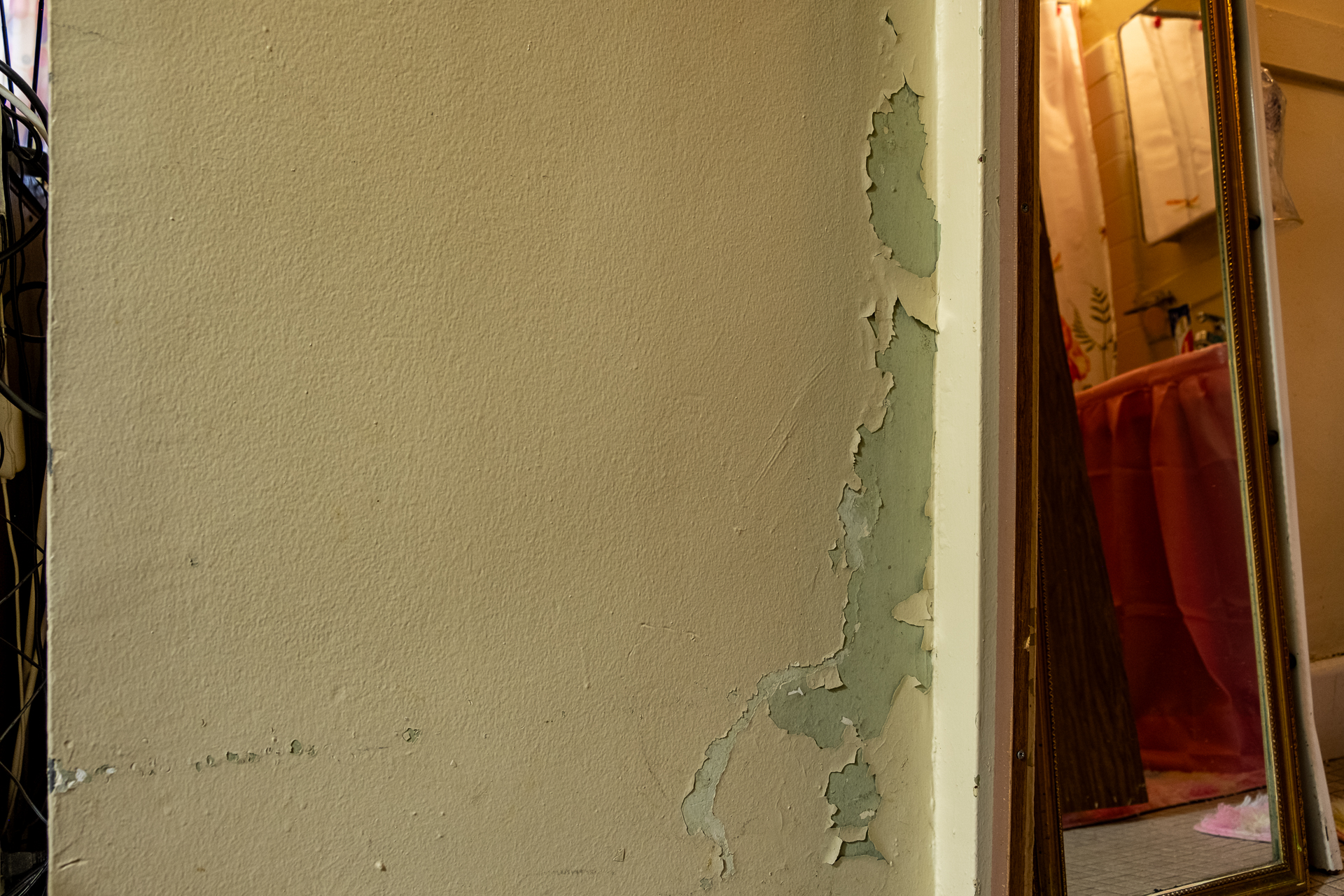 CityLimitsNews's tweet card. "Education around lead, and especially lead paint hazards, is something that still is really necessary," said housing advocate Brandon Kielbasa. "People think of it as something that's been dealt...
