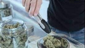 workingreader's tweet card. STOP THE BAN ON DELI STYLE BUD SALES IN MICHIGAN