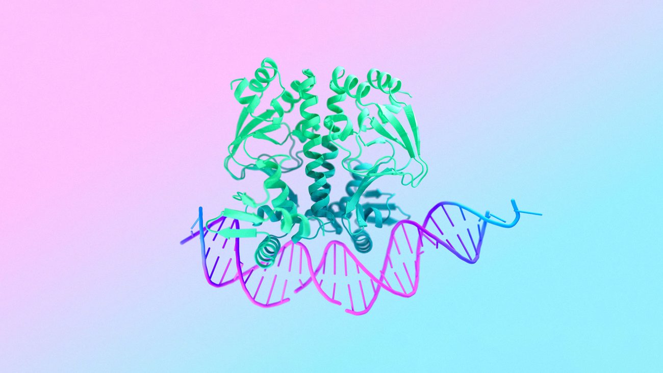 pushmeet's tweet card. Our new AI model AlphaFold 3 can predict the structure and interactions of all life’s molecules with unprecedented accuracy.