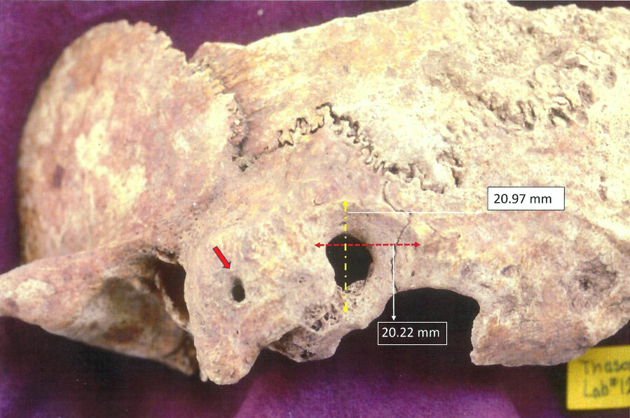 AdelphiUMedia's tweet card. New research from Adelphi University has revealed the first forensically-assessed archeological discovery of remains of a group of domineering mounted archer-lancers and their kin of the Eastern...
