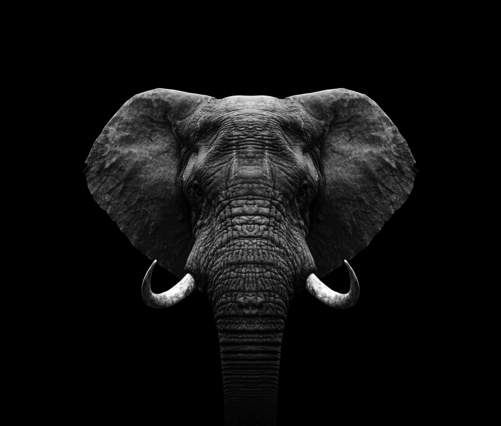 thewebscaledba's tweet card. Learn how to control automatic database maintenance operations in PostgreSQL 15 by adjusting settings for autovacuum, auto-analyze, and other maintenance tasks through configuration parameters in...