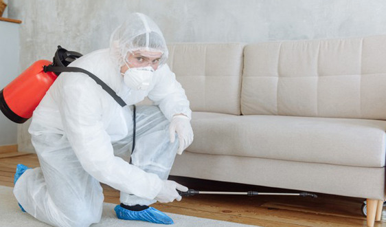 commit_2clean's tweet card. 💬 0  🔁 0  ❤️ 0 · Carpet Cleaning & Pest Control Services in Melbourne · Carpet Cleaning & Pest Control Services in Melbourne Do you need carpet cleaning or pest control services In Melbourne? Are…