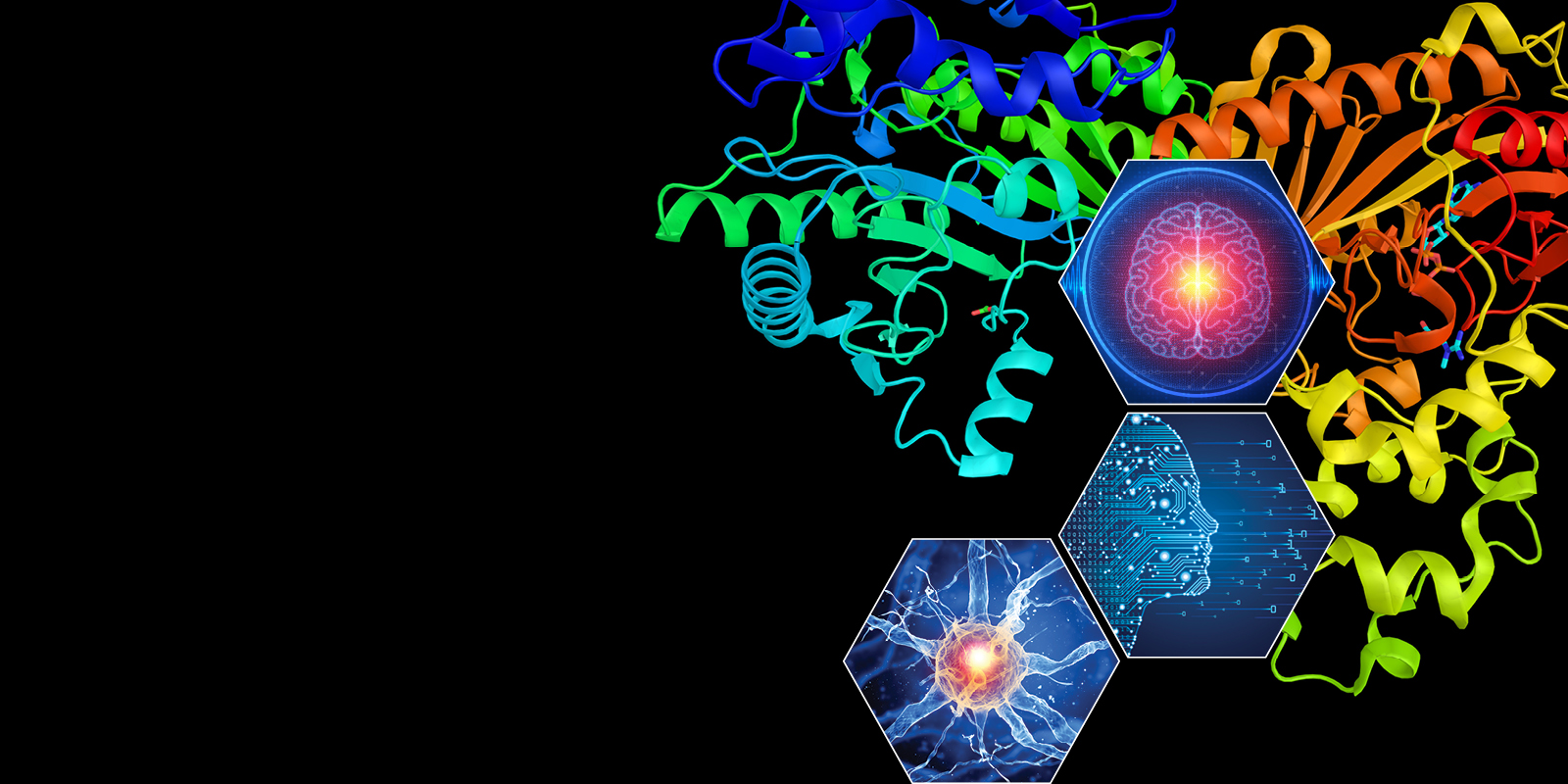 BugajLab's tweet card. The 4th Optogenetic Technologies and Applications Conference will showcase advances in optogenetics and bring together different branches of the optogenetic community.