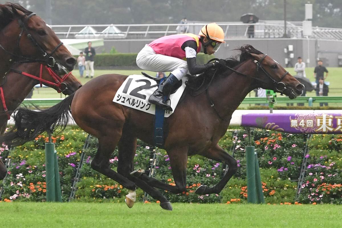 keibas_news's tweet card. １０月１１日の２歳新馬（東京・芝１６００ｍ）で勝ち上がったシュペルリング（牡・嘉藤）は、ＧⅡ京王杯２歳Ｓ（１１月８日＝東京芝１４００ｍ）を目指す。２２日、嘉藤調教師が明かした。鞍上は引き続き、津村。