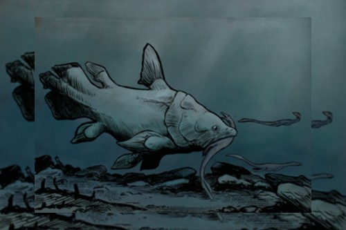outfossiling's tweet card. August: fossil-fish | News and features | University of Bristol