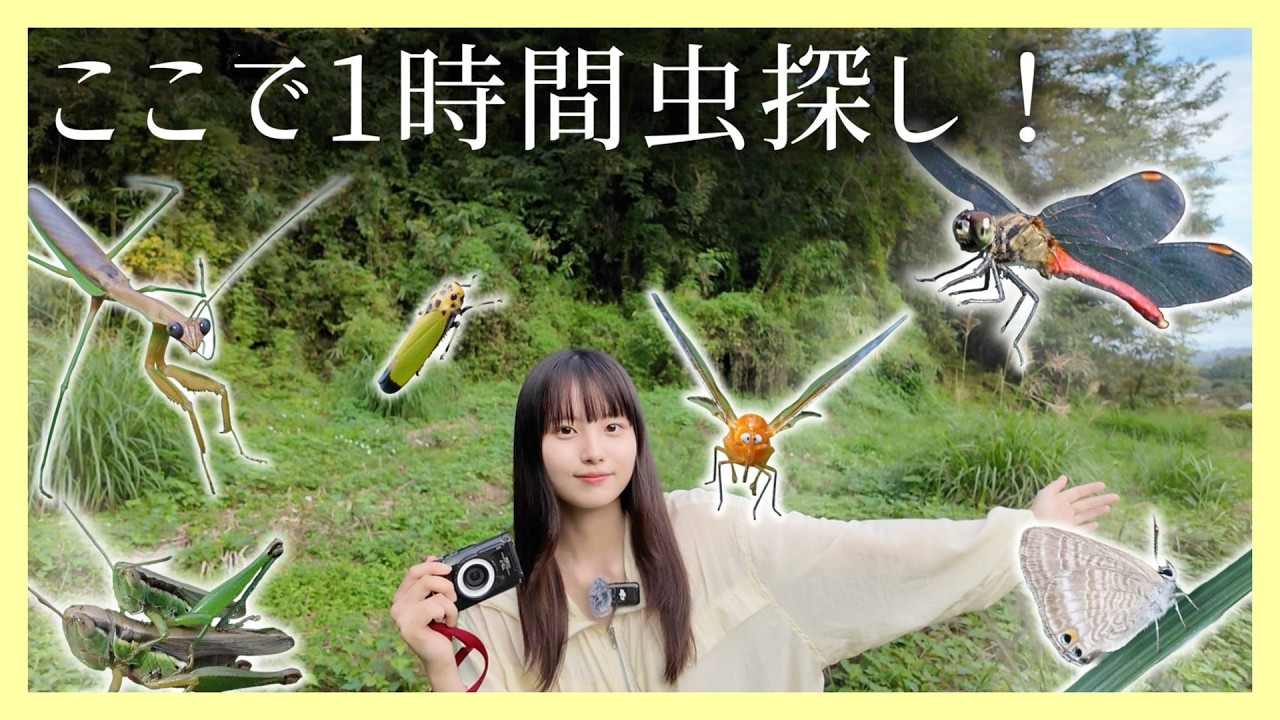 piyo_bug's tweet card. 【制限時間60分】虫オタクなら、ここで何種類の虫に出会える！？