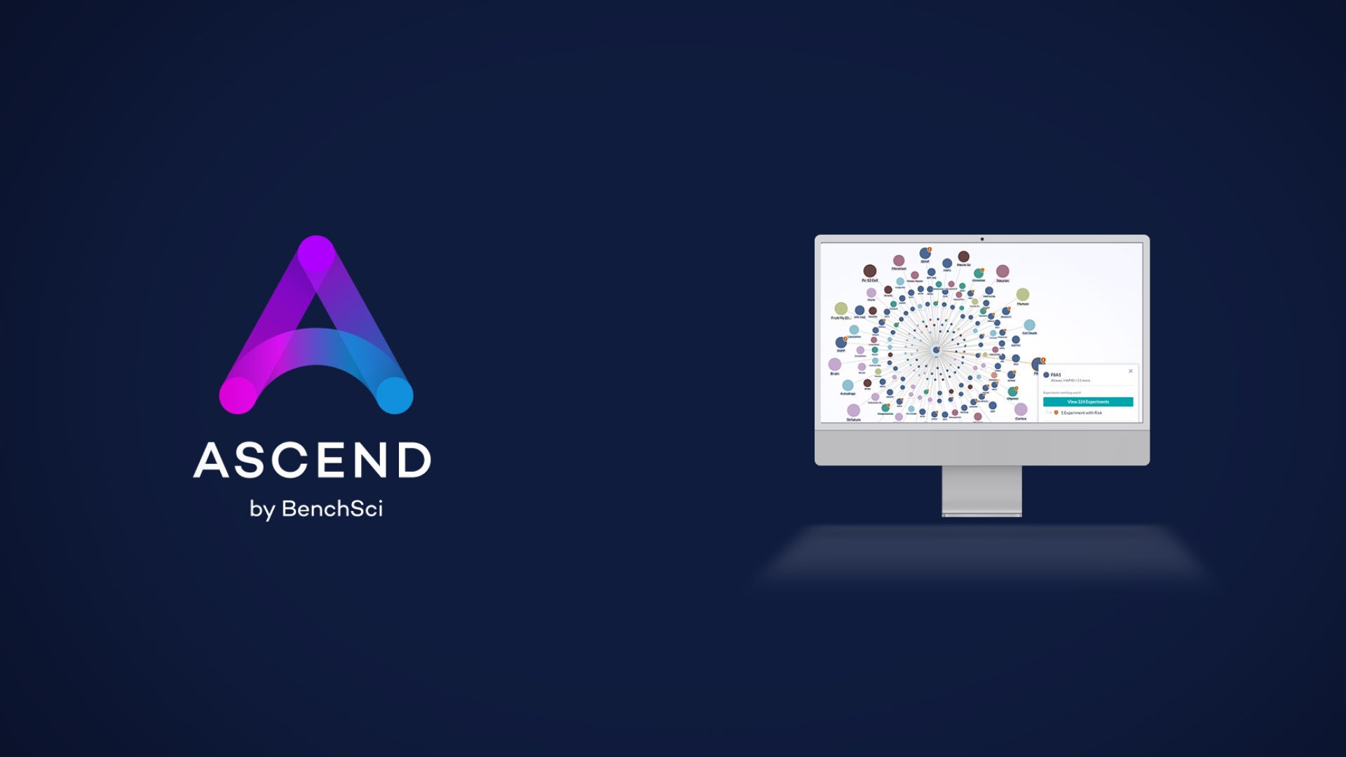BenchSci's tweet card. Introducing ASCEND™ by BenchSci, our innovative new AI platform with the power to transform preclinical pharmaceutical research
