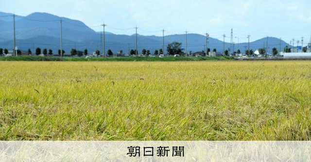 junchann0202's tweet card. 　農林水産省は、2026年産の主食用のコメについて、生産量の見通しを25年産より約5%少ない711万トン程度とする方向で調整に入った。見通しは農家が作付け計画を決める際の目安の一つとなる。石破茂前首相…