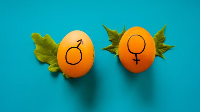 Tech_Networks's tweet card. We’ve known for more than a century that women outlive men. But new research shows that, at least in the United States, the gap has been widening for more than a decade.