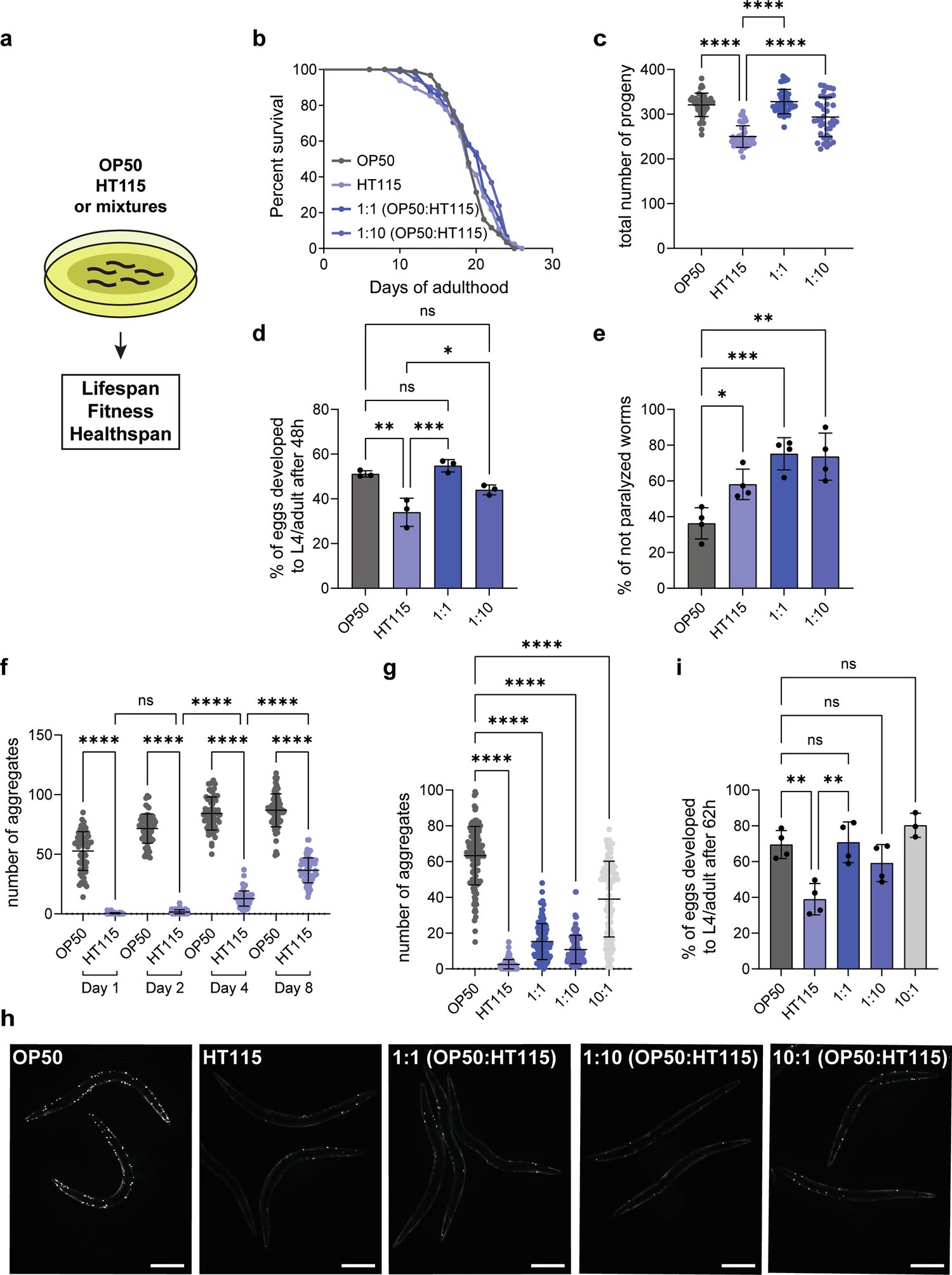 Spang_Lab's tweet card. Nature Communications - Kyriakakis et al. show that bacterial RNA can improve C. elegans healthspan and reduce toxic protein aggregation in muscles. This depends on inter-tissue communication and...