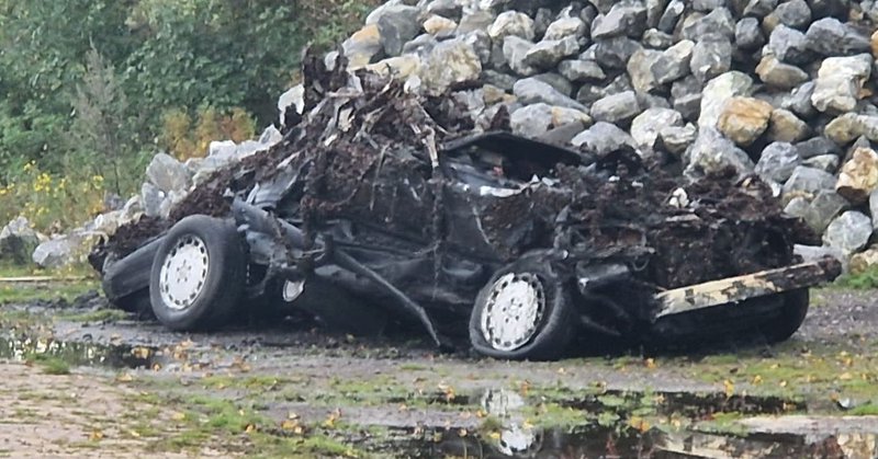 Auto in Trintelhaven te water gehaald door hulpdiensten