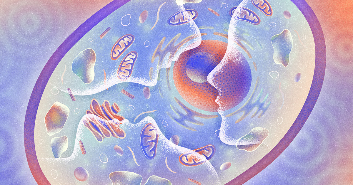 raghavan_anand's tweet card. A small but enthusiastic group of neuroscientists is exhuming overlooked experiments and performing new ones to explore whether cells record past experiences — fundamentally challenging what memory...