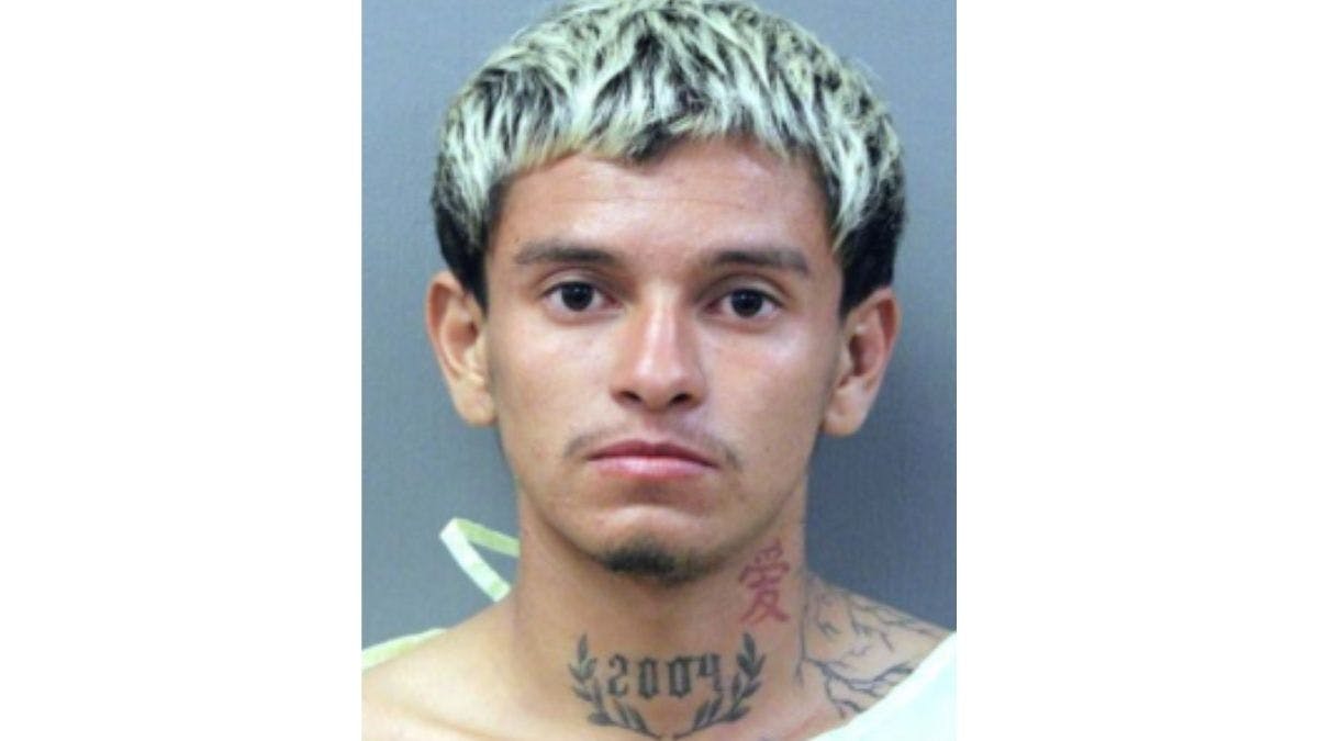 realDailyWire's tweet card. The Trump administration is seeking to capture an illegal immigrant accused of raping a woman he knocked unconscious in the sanctuary city of Chicago, The Daily Wire has learned.Nicaraguan illegal...