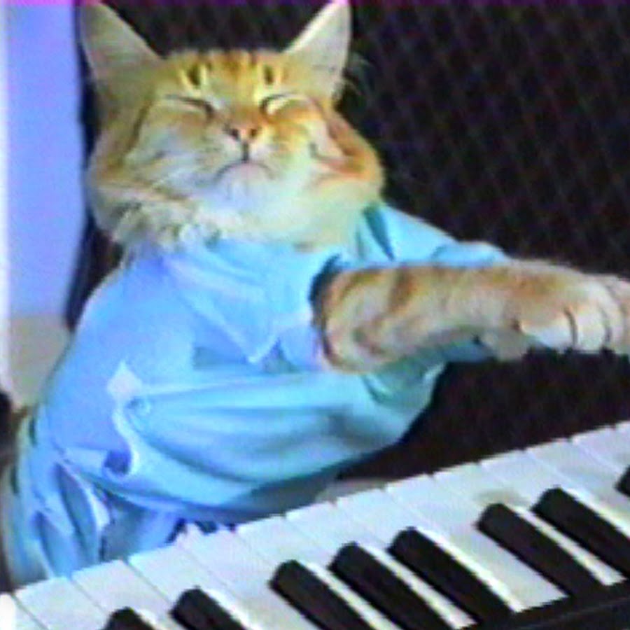 tip_cc's tweet card. KEYCAT — the officially licensed Keyboard Cat meme coin on Base; available on Coinbase. How to acquire, contract, FAQs.