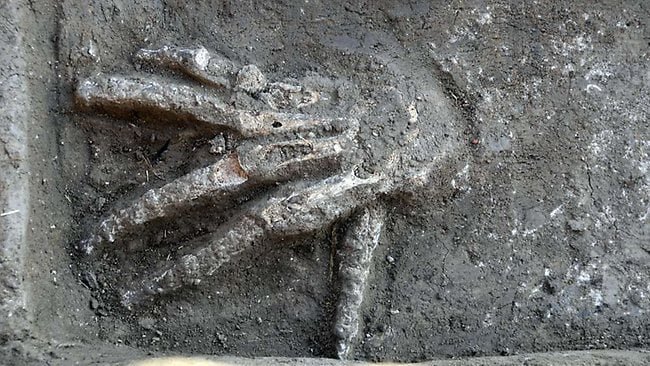 ufob0t's tweet card. While excavating a 3,600-year-old palace in the once-great city of Avaris, Egypt, a team of archaeologists unearthed four pits full of giant severed hands.