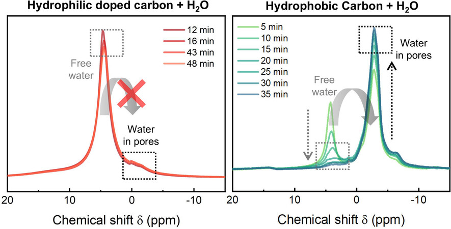 angew_chem's tweet card. The common paradigm that water easily enters hydrophilic pores does not apply to C1N1 nanopores of size below a few nanometers. Using solid-state NMR, we unravel that only a negligible portion of...
