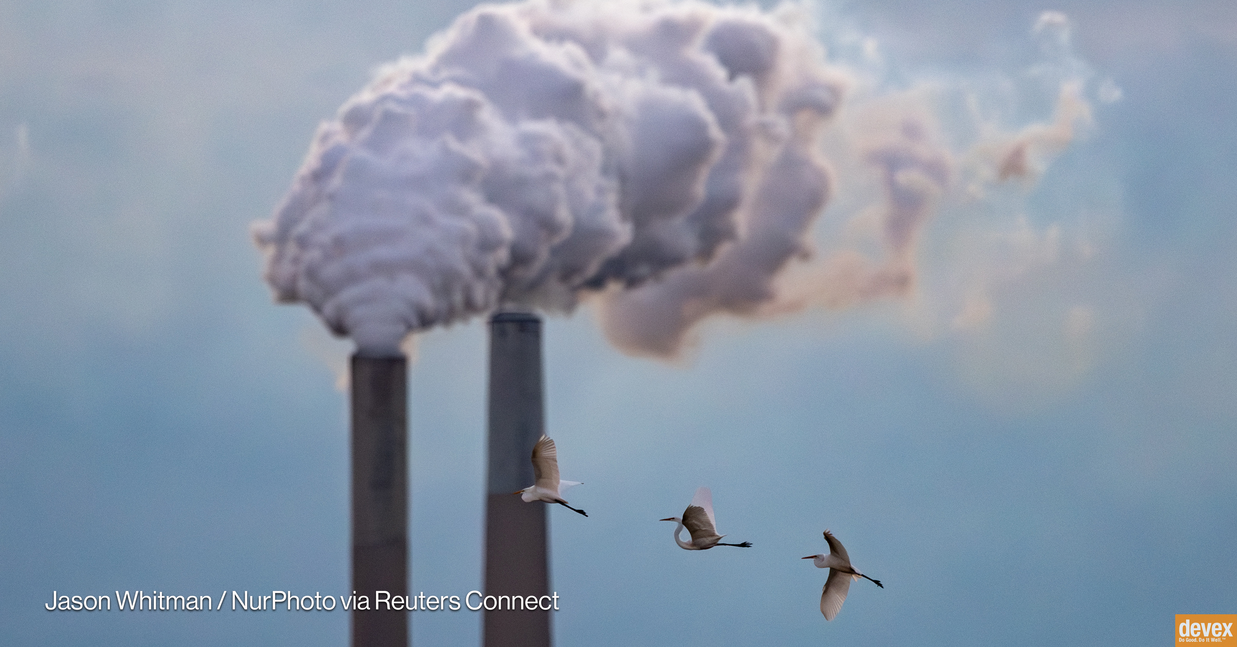 KristofDecoste1's tweet card. As global leaders head to Brazil, new reports reveal backsliding on climate action, rising fossil fuel finance, and stalled progress on key emissions targets.