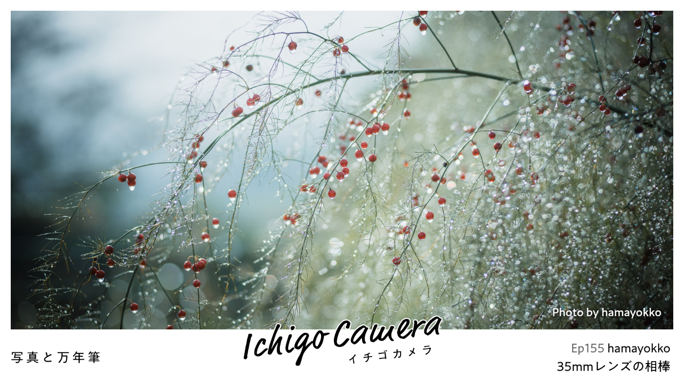 ichigami's tweet card. hamayokkoさんをゲストにお招きして、Ｊリーグ 2026特別シーズン、この夏の農業、Ultron 75mm f1.9、システム手帳自作計画、New Pen Day…、映画『秒速5センチメートル』、漫画「るきさん」、漫画「A子さんの恋人」などについて話しました。