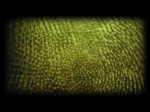 prog_kr's tweet card. Silver Apples - Oscillations (1968)
