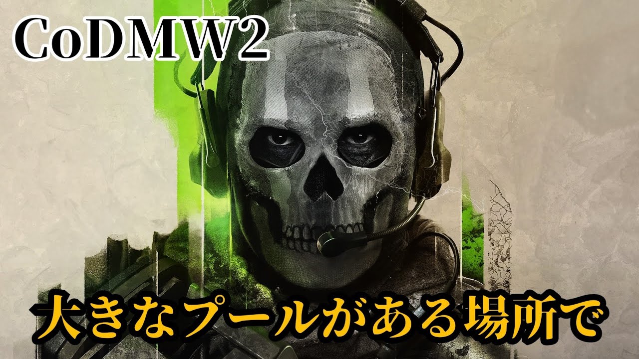 sfnegitoro's tweet card. 【CALL OF DUTY MW2】チームデスマッチ(゜ロ゜)