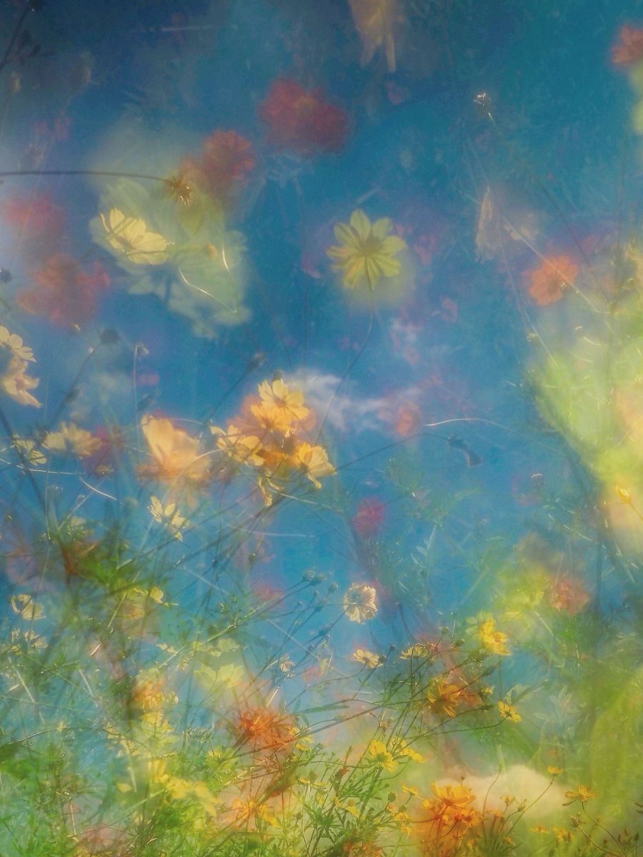 ganref's tweet card. Pastel Flowers | GANREF