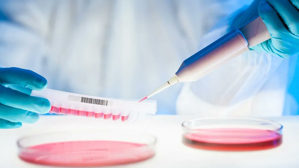 LifespanNews's tweet card. Instead of using cellular reprogramming to directly treat age-related diseases, a perspective published in Nature Communications focuses on the opposite: […]