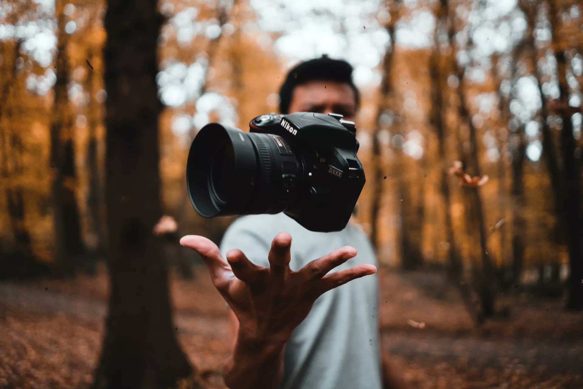 BlogSEOAI's tweet card. Learn the latest SEO techniques and strategies tailored specifically for photographers in this comprehensive guide for 2024.