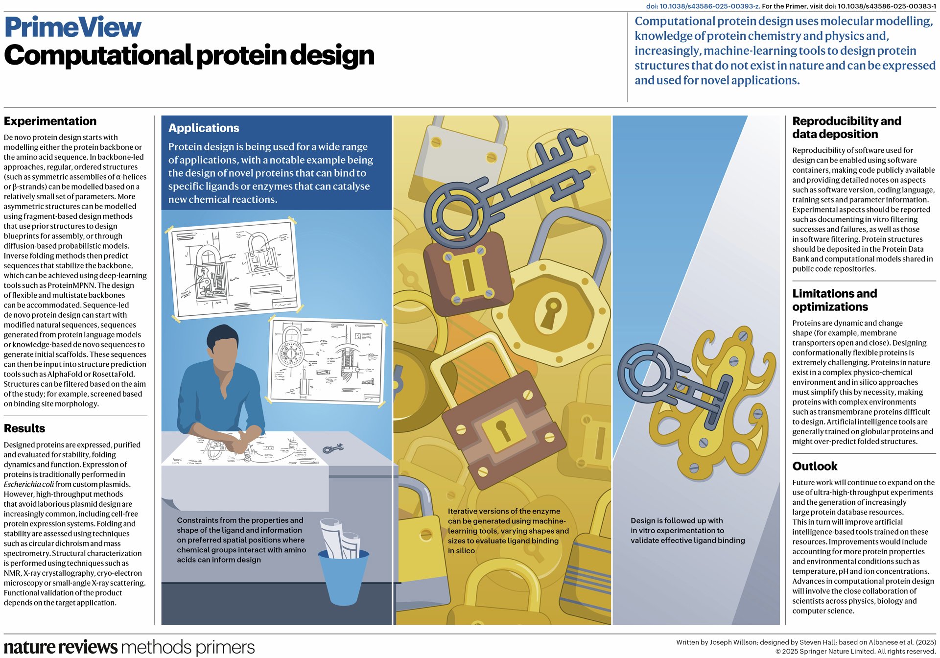 MethodsPrimers's tweet card. Nature Reviews Methods Primers - This PrimeView highlights one of the many applications of computational protein design - the design of novel protein binders to existing ligands.
