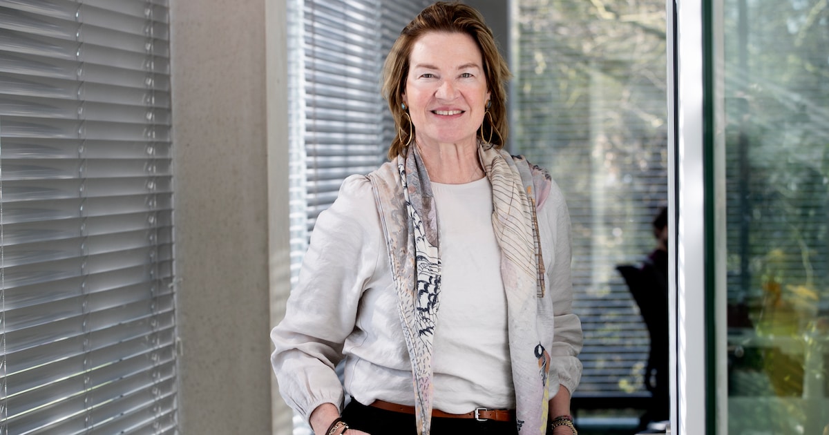 Brainport_int's tweet card. EINDHOVEN - De Brabantse Ontwikkelings Maatschappij (BOM) speelt een belangrijke rol bij de economische successen in de provincie. Brigit van Dijk-van de Reijt is er nu vijf jaar algemeen directeur....