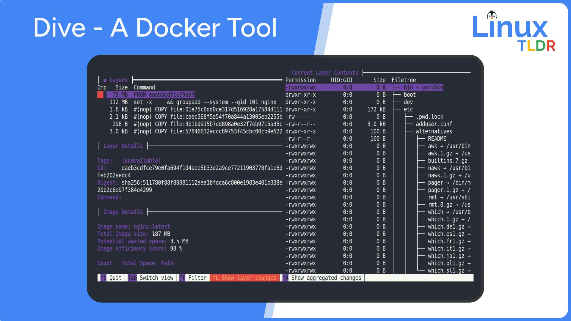 linux_tldr's tweet card. Discover how the Dive tool can help you delve into Docker image layers, reduce image size, and gain insights into image changes with easy installation steps and useful shortcuts.