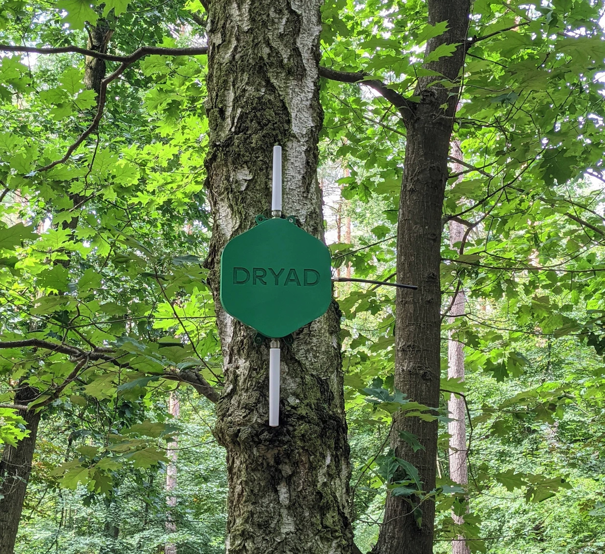 Raspberry_Pi3's tweet card. TELUS Pollinator Fund invierte en Dryad, para ayudar a combatir los devastadores efectos de los incendios forestales